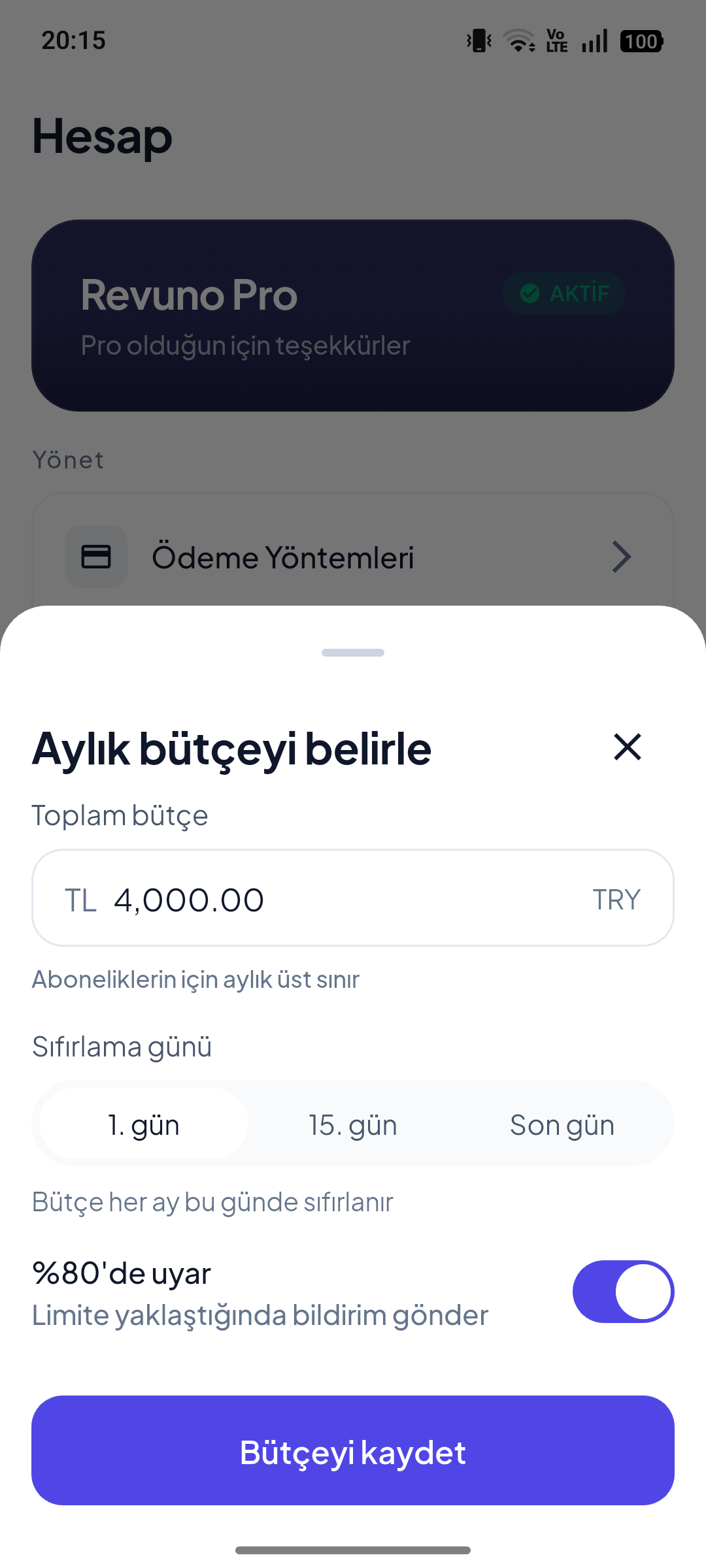 Aylık bütçe belirle
